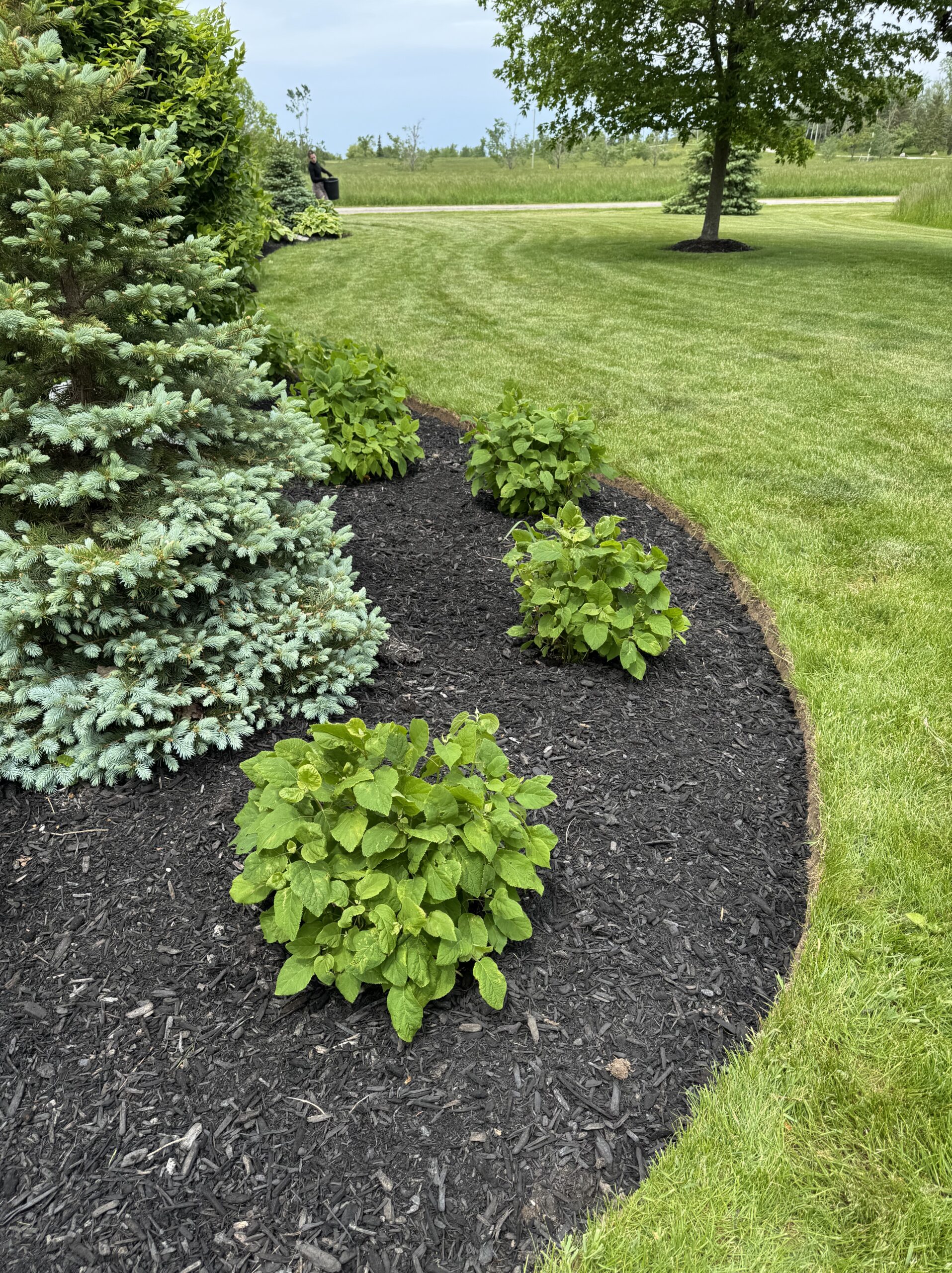 Firewood stacked in snow